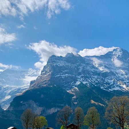 Eiger, Jungfrau, Luxury Garden Apartment جريندلوالد المظهر الخارجي الصورة