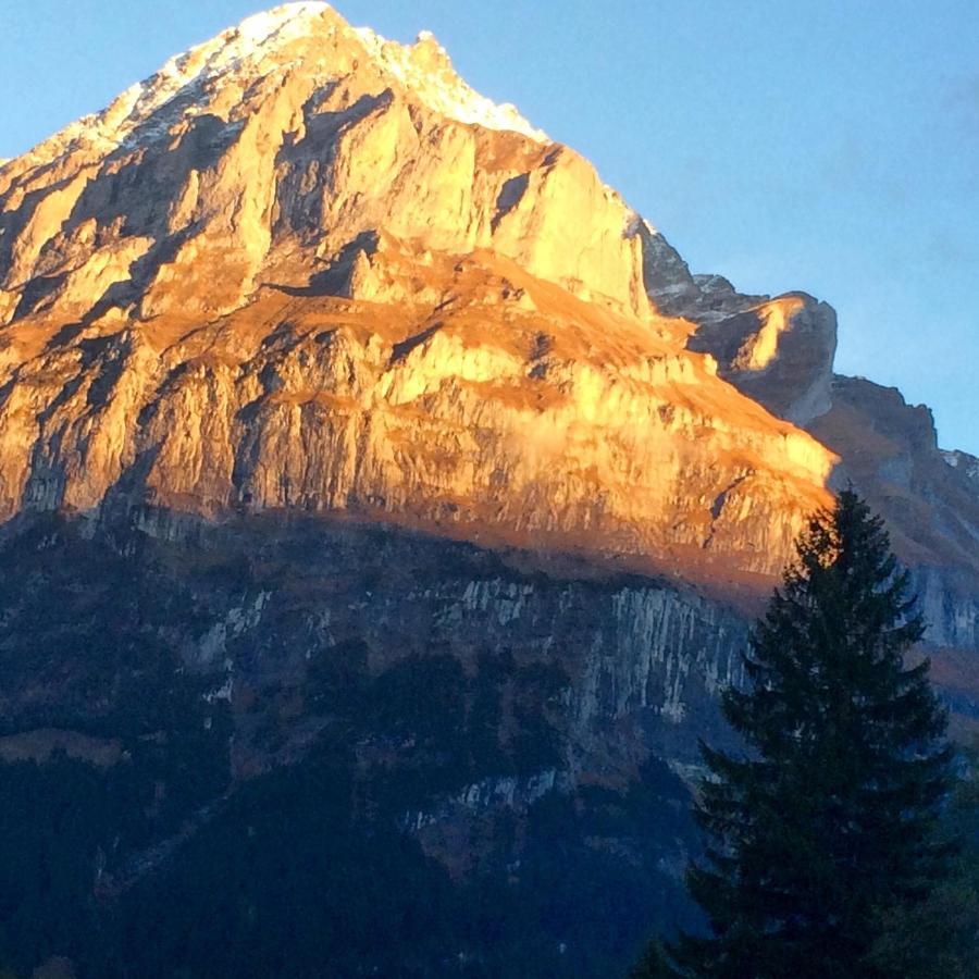 Eiger, Jungfrau, Luxury Garden Apartment جريندلوالد المظهر الخارجي الصورة