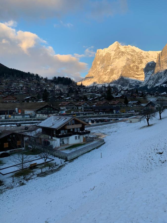 Eiger, Jungfrau, Luxury Garden Apartment جريندلوالد المظهر الخارجي الصورة