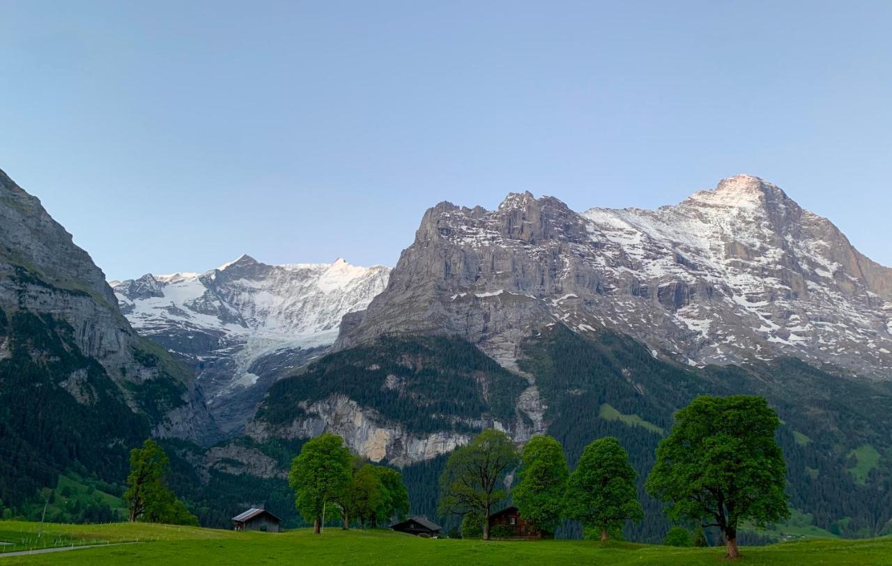Eiger, Jungfrau, Luxury Garden Apartment جريندلوالد المظهر الخارجي الصورة