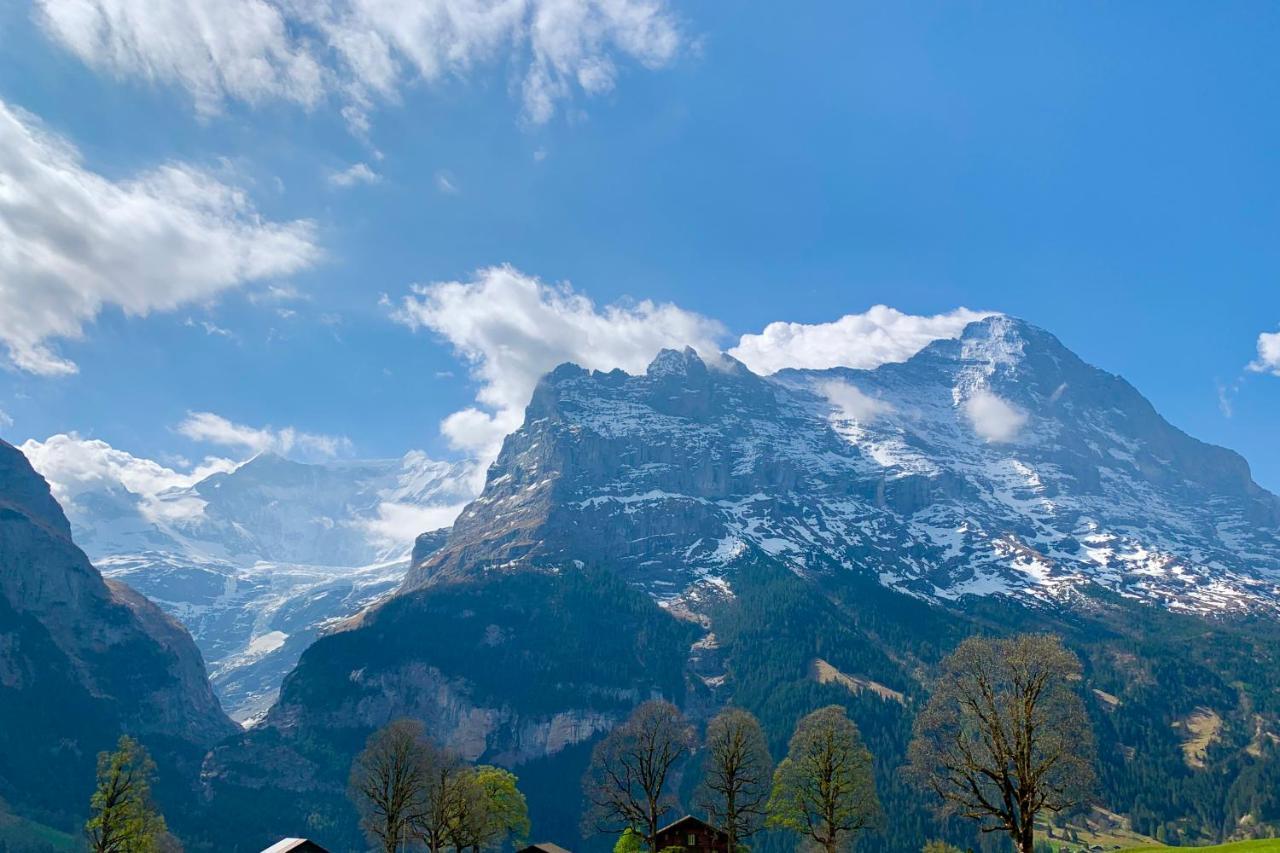 Eiger, Jungfrau, Luxury Garden Apartment جريندلوالد المظهر الخارجي الصورة